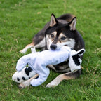 Best Pet Supplies Squeaky Dog Toys - Image 8