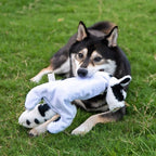 Best Pet Supplies Squeaky Dog Toys - Image 8