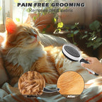 2PCS Pet Grooming Tools - Image 6