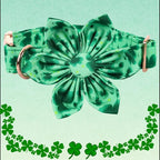 Lionheart Glory St. Patrick's Day Dog Collar, Dog Collar - Image 2
