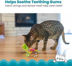 Catstages Dental Pineapple Teether – Chew Toy - Image 2