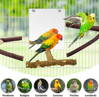 BNOSDM 5PCS Bird Perches Stand - Image 8