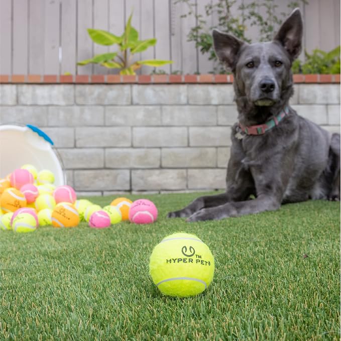 Hyper Pet Tennis Balls for Dogs - Image 5