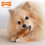 Nylabone Pretzel Power Chew Toy - Image 2