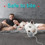 Interactive Cat Dog Toy Ball: Indoor Small Automatic Moving Smart Rolling Fun - Image 7