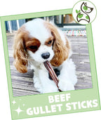Nature Gnaws Beef Gullet Sticks - Image 7