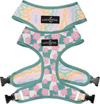 Lucy & Co. Cute Reversible Dog Harness Walking Halter by LucyCo