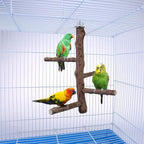 Bird Perch Stand Toy, Natural Wood Parrot Perch Bird Cage Branch Perch - Image 4