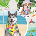 Eccliy 30 Pack Summer Fruit Dog Bandanas Bulk Soft Triangle Dog Scarfs - Image 5