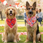 ADOGGYGO Valentines Dog Bandana 2 Pack, Heart and Floral Print Pet Scarf Bib - Image 3