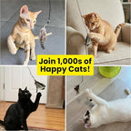 Feather Toys Replacements - Image 4
