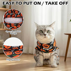 EXPAWLORER Cat Halloween Sweater - Image 4