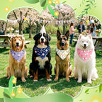 Abbylike 50 Pieces Spring Dog Bandanas Bulk Flower Daisy Sunflower Dog Bandanas - Image 4
