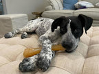 Nylabone Original Knuckle Bone Flexi Chew Toy - Image 4