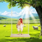 Chicken Swing, Easy Install Chicken Perch, Fun Poultry Toys - Image 5