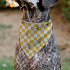 Peanuts Pet Bandana Peanuts Woodstock Pose Checker Yellow White Slip On Collar - Image 4
