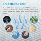 Hunter HP980 Air Purifiers for Home Large Room and Bedroom. Industrial Strength - Image 6