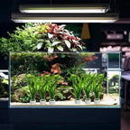 12 Pack New Upgrade Aquarium Plant Weights, Aquatic Plants Fixed Ring Set - Image 6