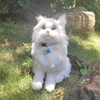 2 Pack Cotton Breakaway cat Collars - Image 3