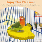 3 Pcs Parrot Perch Resin Bird Beak Grinding Stone Leaf Shape Perch Stand Foot - Image 7