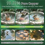 Bird Bath Copper Disk 2 Pack, 99.9% Pure Copper - Image 2