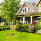 Decorative Garden Fence 31in x10ft, 10 Pack No Dig Fence Animal Barrier - Image 5