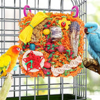 Bird Toys for Small & Medium Parrots - Image 6
