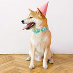 Easter Dog Collar with Bowtie, Eater Bunny Eggs Dog Collars, Soft Durable - Image 4