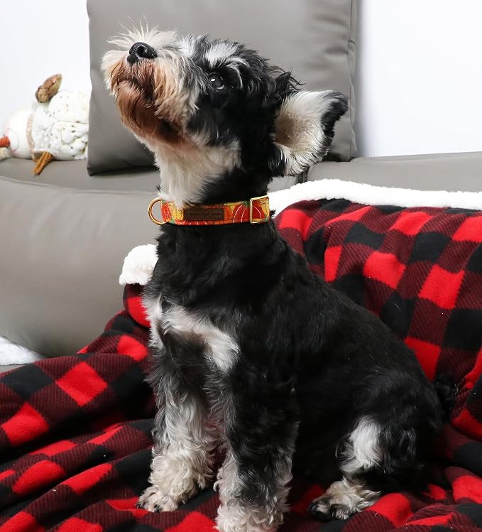 Unique style paws Halloween Dog Collar Metal Buckle Orange Pumpkin Collar Gift - Image 4