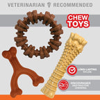 Nylabone Customer Favorites Power Chew Toy Bundle - Image 3