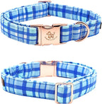 Elegant little tail Dog Collar - Image 4
