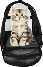Pet Carrier Soft-Sided Carriers - Image 2