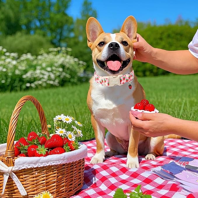 Cute Spring/Summer Dog Collar, Adjustable Pink Strawberry Dog Collars - Image 3