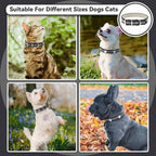 PETCARE Reflective Dog Collar - Image 3