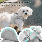 PetiFine Step in Small Dog Harness and Leash Set, Breathable All Weather Air - Image 3