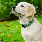 Hikiko Martingale Dog Collars Reflective Nylon Dog Collar - Image 2