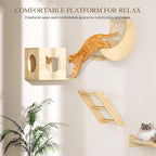 Cat Wall Shelves, 13-in-1 Solid Wood Wall-Mounted Cats Furniture Set - Image 4