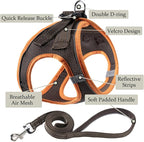 Dog Harness with Leash Set, No Pull Adjustable Reflective Step-in Puppy Pet - Image 2