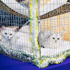 Jetec 2 Pieces Reversible Cat Hanging Hammock Soft Breathable Pet Cage Hammock - Image 2