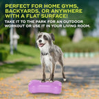 FitPAWS® K9FITbone® - Image 4