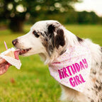 Birthday Girl Dog Bandanas 1 Pack, Triangle Reversible Pet Scarves - Image 3