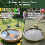 TIANCENTRAL H Bird Bath Copper Disk 2PCS-99.99% Pure Copper Cleaning Disk - Image 4