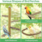 7PCS Natural Wood Bird Perches for Cage, Bird Parrot Parakeet Perch Stand - Image 3