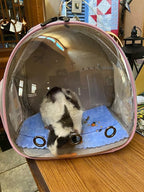 Hamster Backpack Carrier, Bearded Dragon Carrier Backpack - Image 5