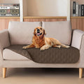 gogobunny 3X Stronger Waterproof Pet Blanket, Scratch Proof Furniture Protector by gogobunny