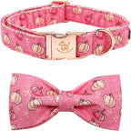 Elegant Little Tail Dog Collar by Elegantlittletail