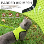 PUPTECK Soft Mesh Cat Vest Harness and Leash Set Puppy Padded Pet Harnesses - Image 2