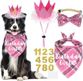 Dog Birthday Party Supplies by JOTFA