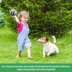 QDAN Dog Toys Soccer Ball with Straps, Interactive Toys - Image 4