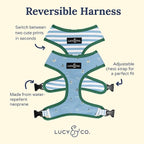 Lucy & Co. Set Sail Reversible Harness, Walking Halter - Image 2